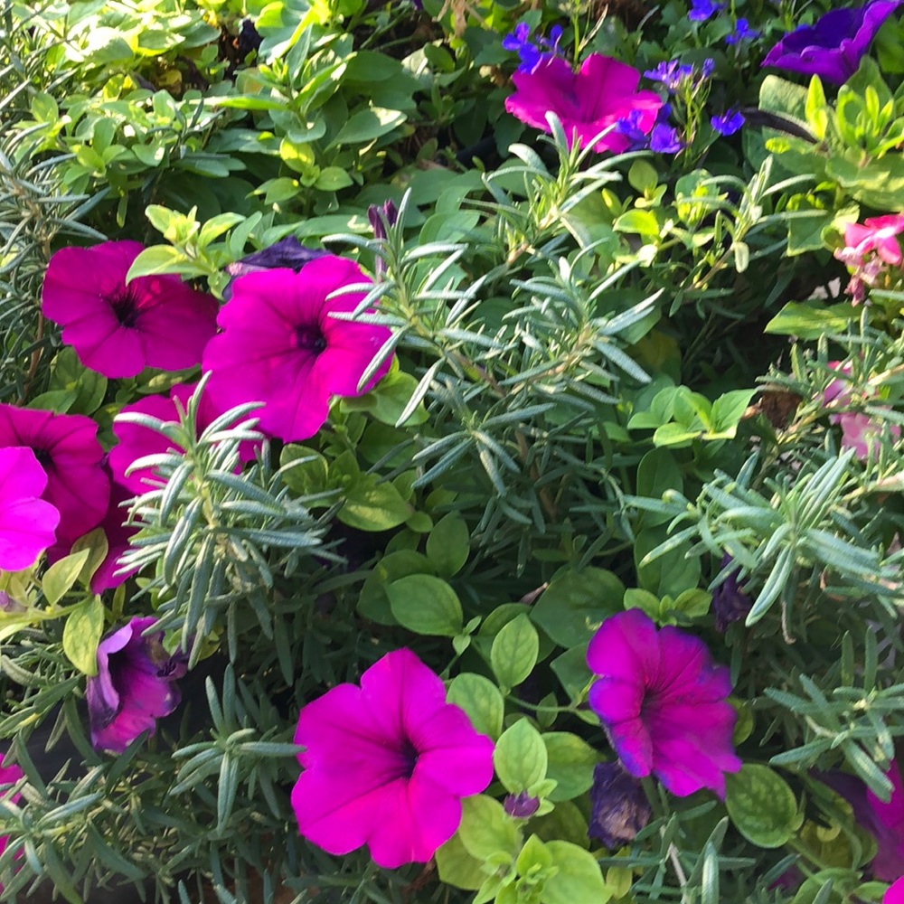 Meet your Posher, April